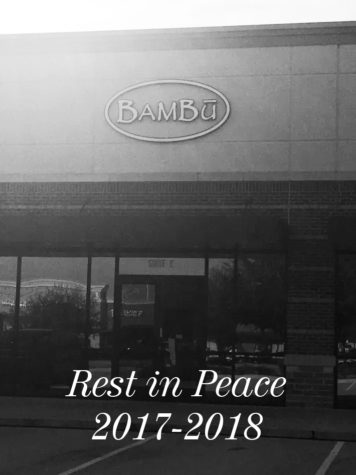 A Farewell to Bambu