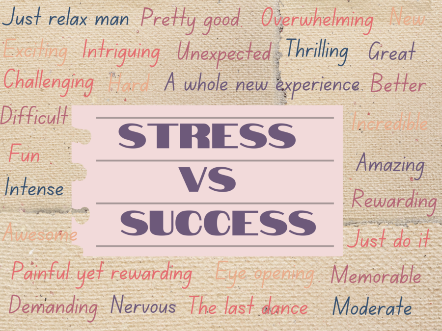 Stress vs. Success